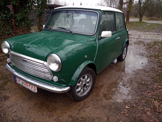 Elektro Mini Grün Lorey