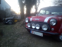 E-Mini Elektro Lorey